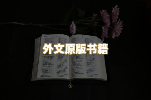 外文原版书籍